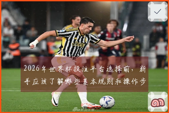 2026年世界杯投注平台选择前，新手应该了解哪些基本规则和操作步骤