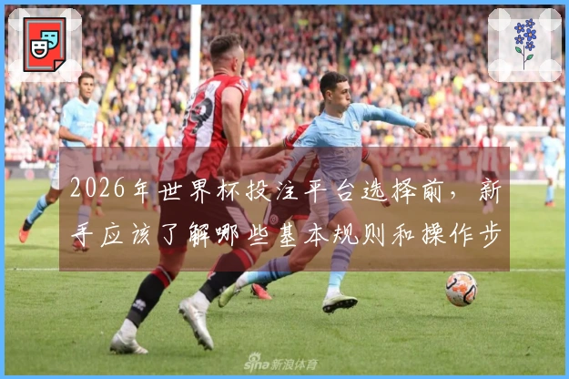 2026年世界杯投注平台选择前，新手应该了解哪些基本规则和操作步骤