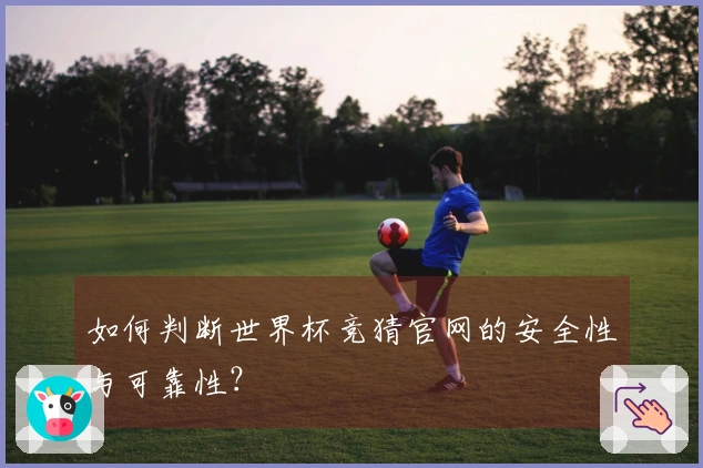 如何判断世界杯竞猜官网的安全性与可靠性？