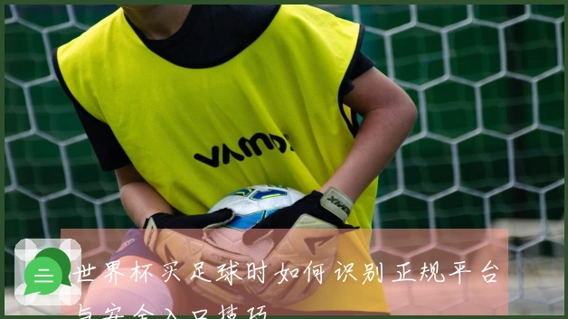 世界杯买足球时如何识别正规平台与安全入口技巧
