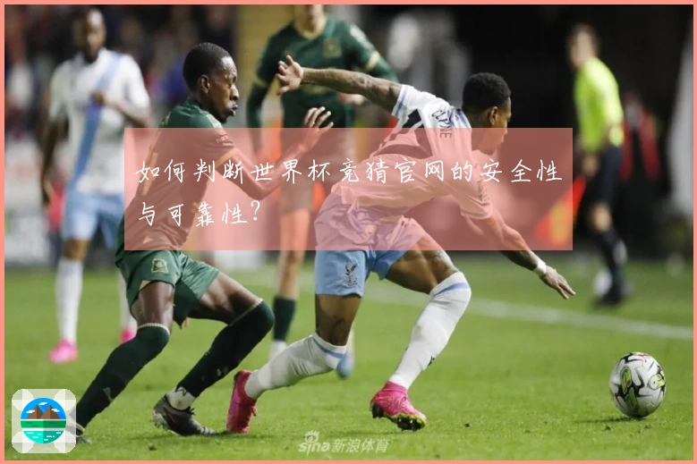 如何判断世界杯竞猜官网的安全性与可靠性？